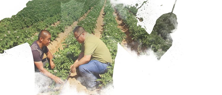 Từ Ý tưởng đến Hoàn thiện